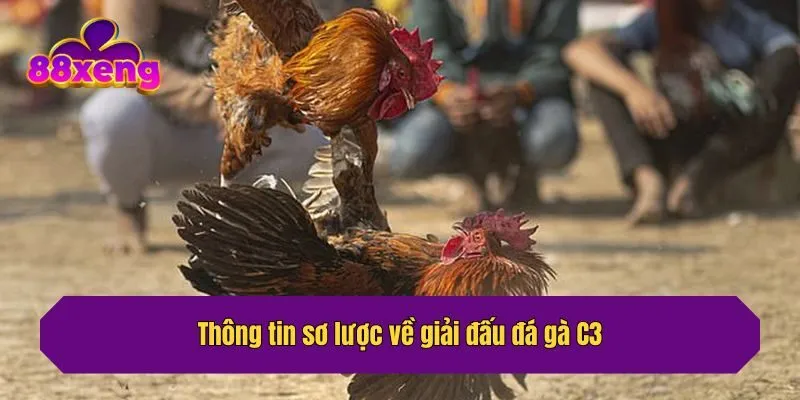 Thông tin sơ lược về giải đấu đá gà C3