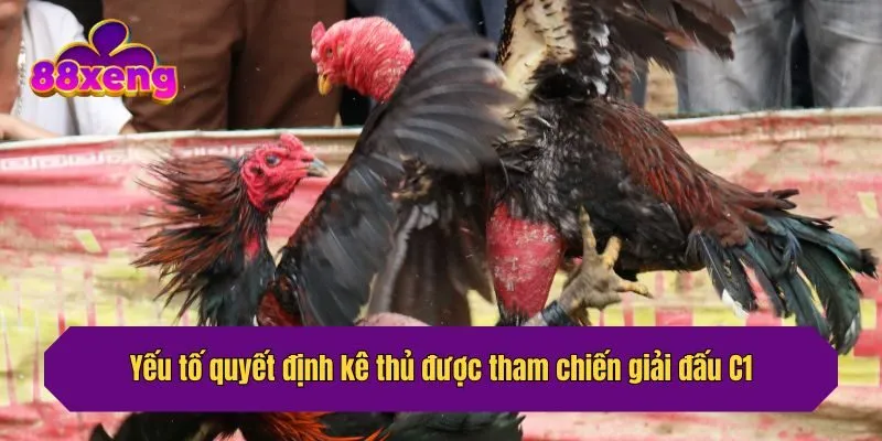 Yếu tố quyết định kê thủ được tham chiến giải đấu C1